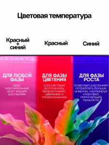 Фитолампа для растений с таймером на прищепке Огонек OG-LDP20